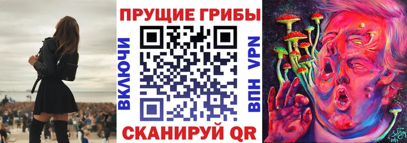 Галлюциногенные грибы Psilocybine cubensis закладки Новая Ладога